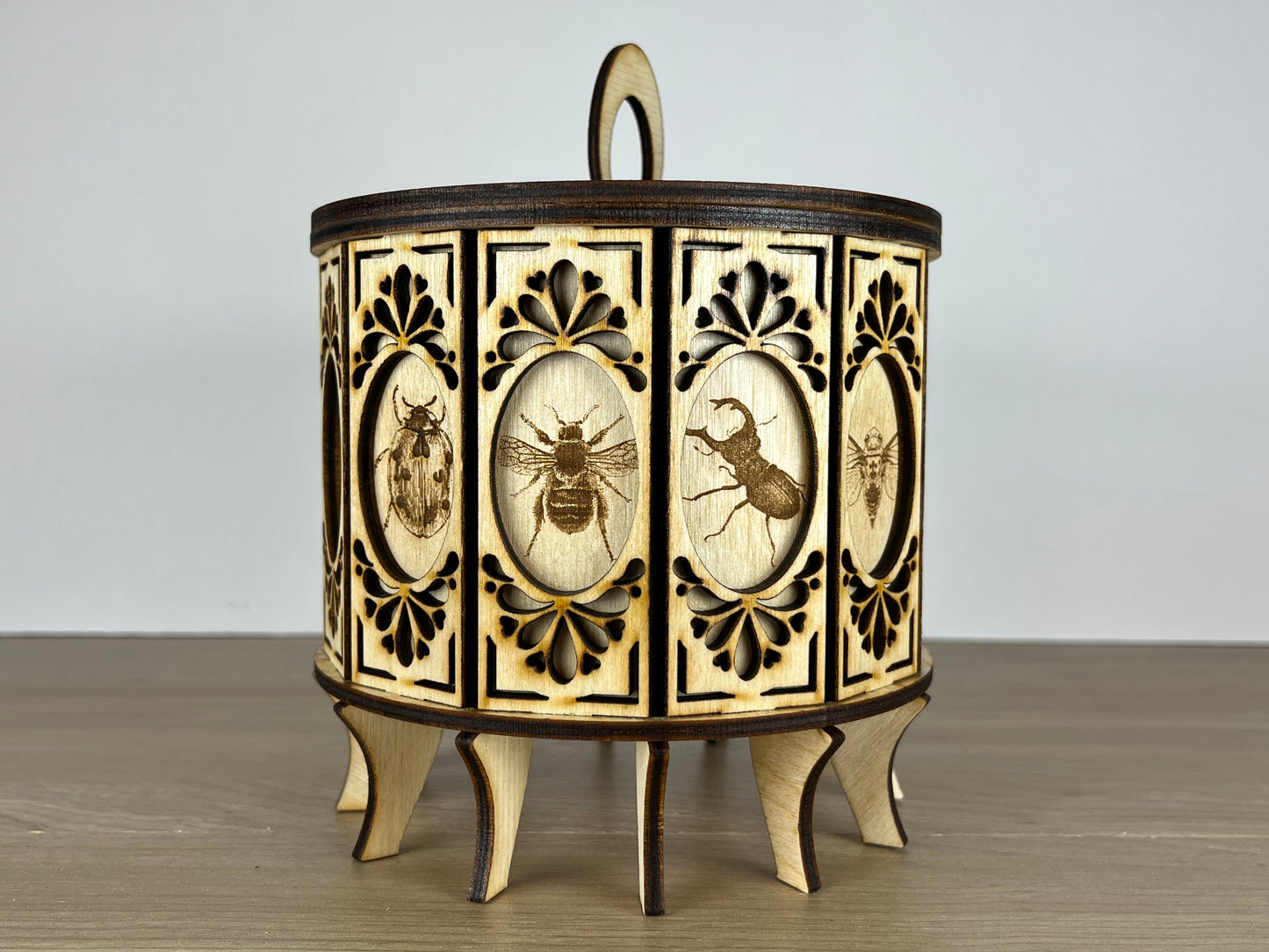 12 Sided Gift Box Insects