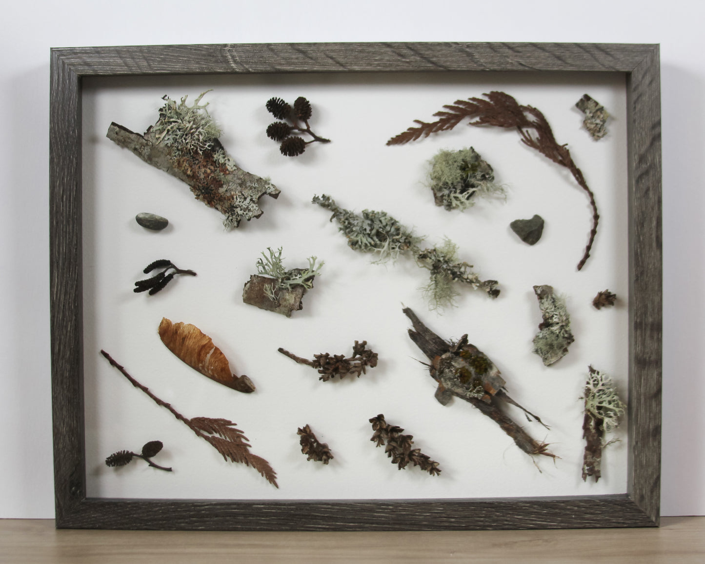 Collage Lichen Pine Leaves Cones Seeds Heart Rock