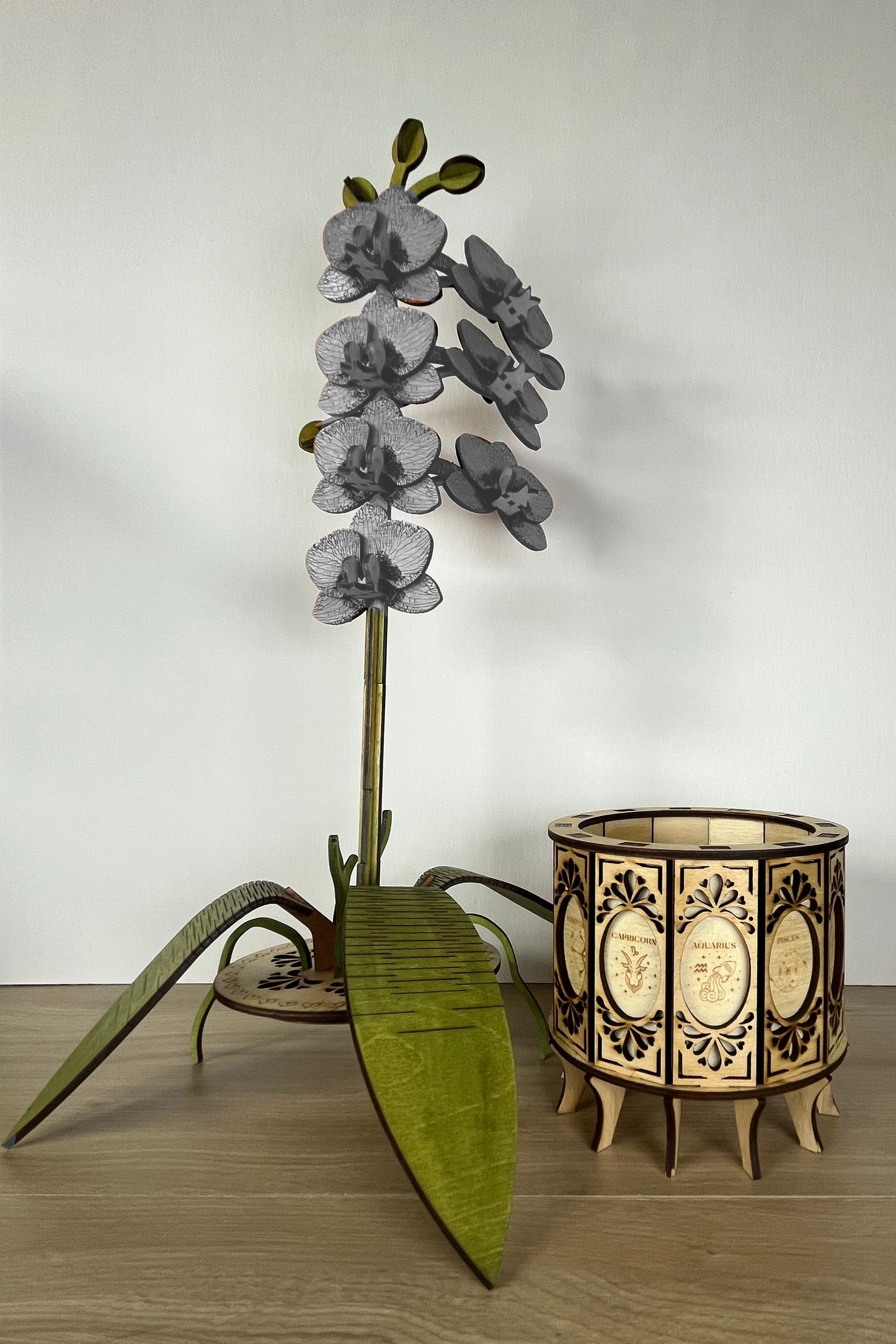 Orchid Gift Box Open