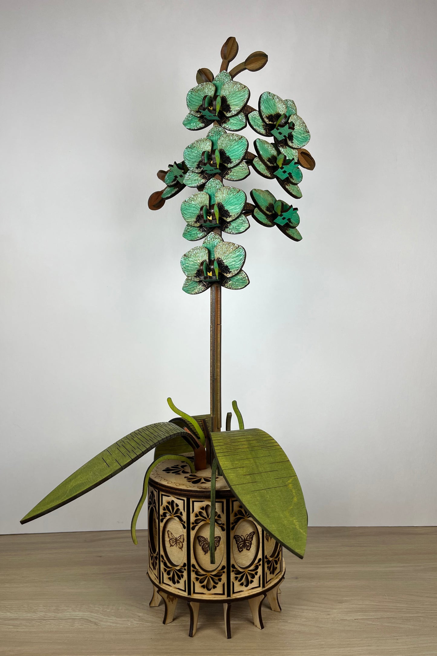 Orchid Green Front View