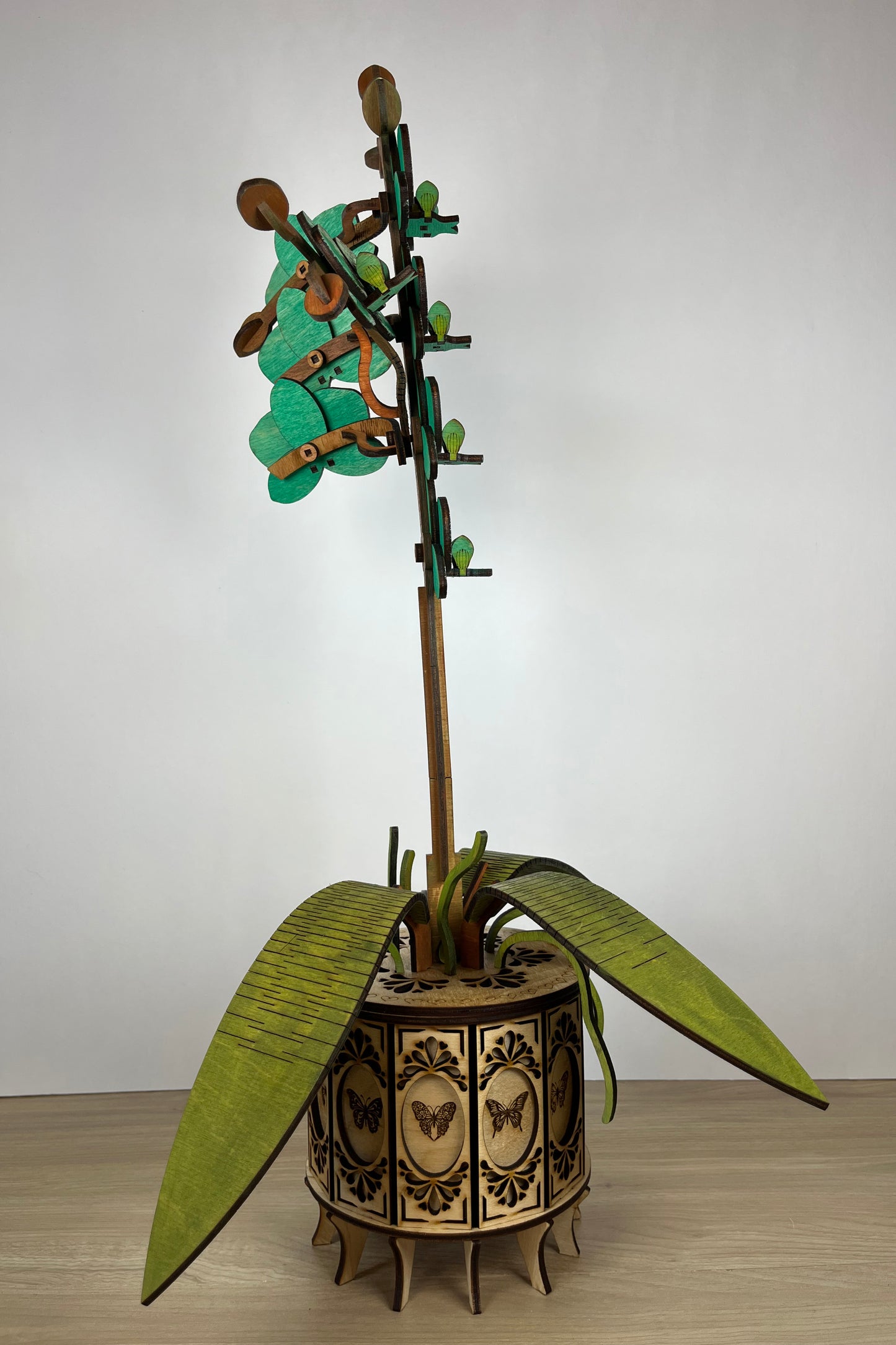 Orchid Green Side View 2