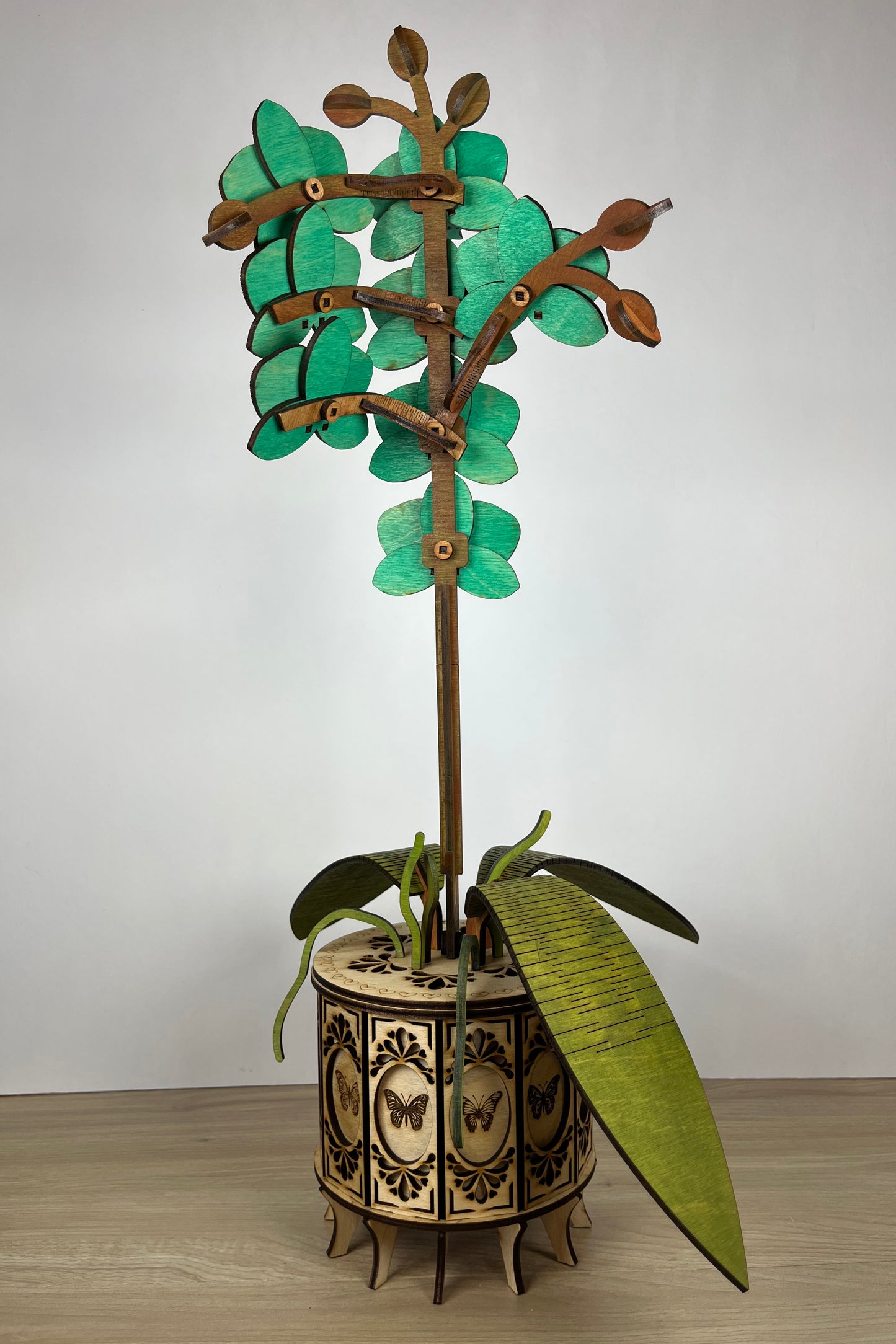 Orchid Green Back View