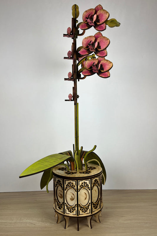 Orchid Pink Side View 1