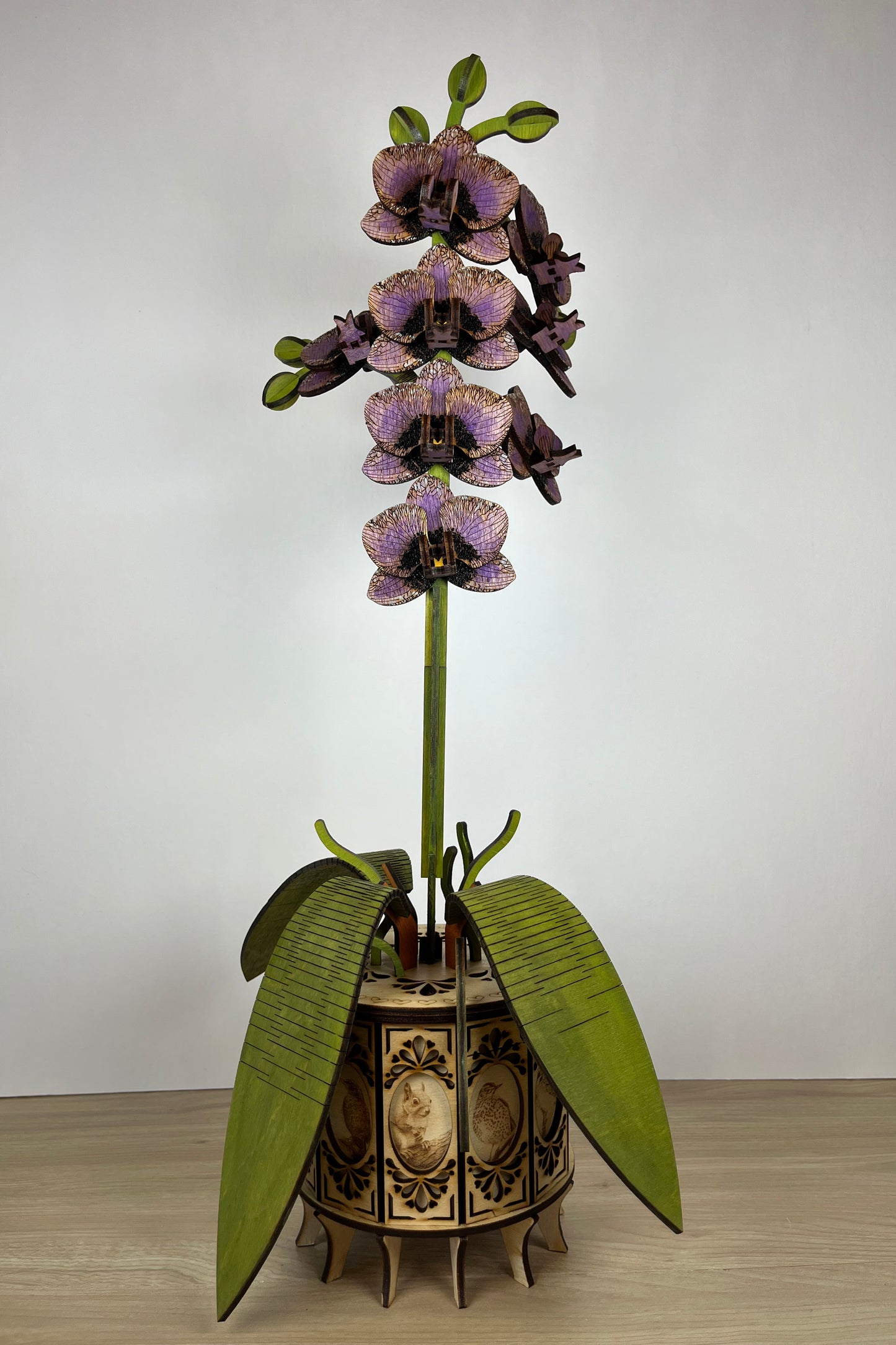 Orchid Purple Front View