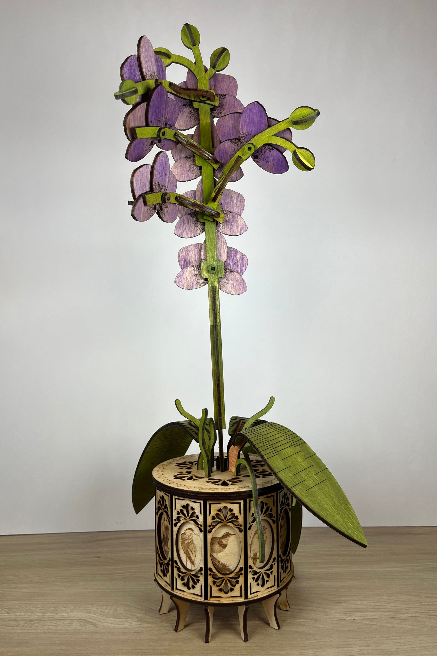 Orchid Purple Back View
