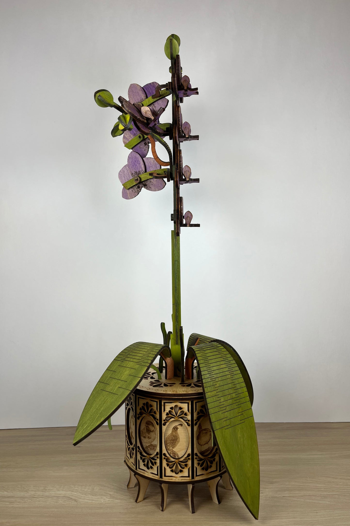 Orchid Purple Side View 2