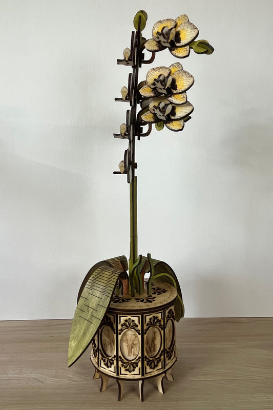 Orchid White Side View 1