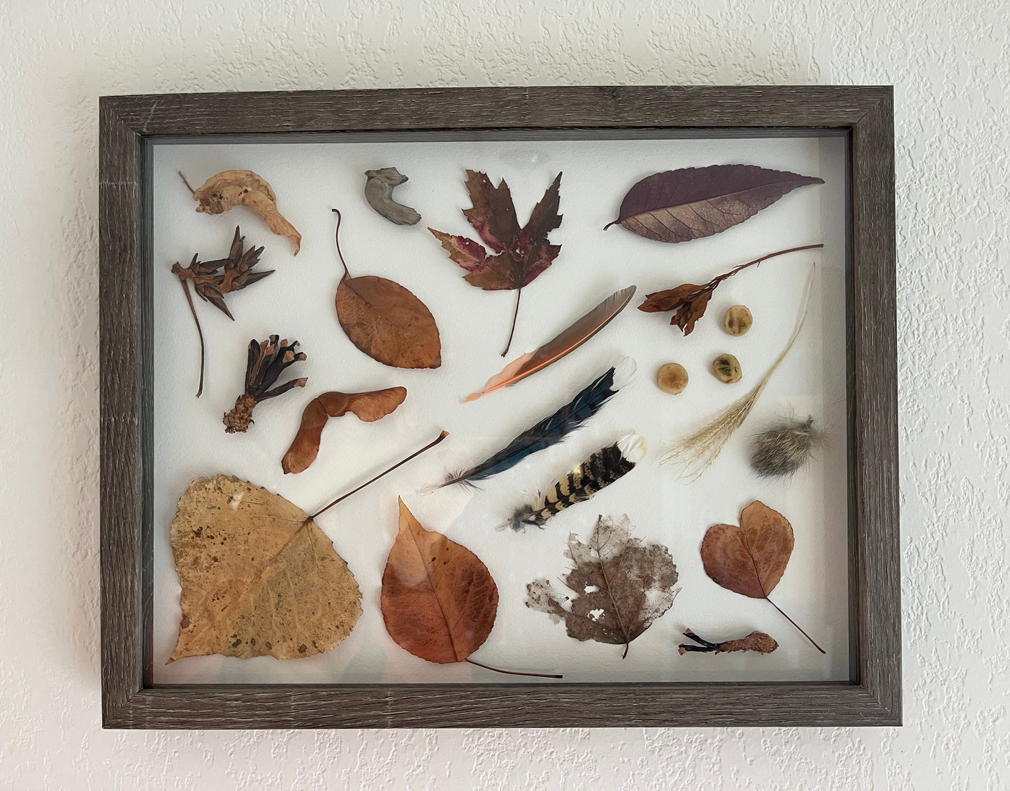 Various Leavs Seeds Feathers Rabbit Fur
