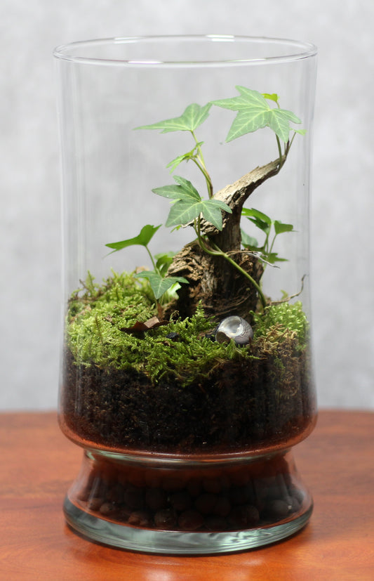 Terrarium Menagerie 2