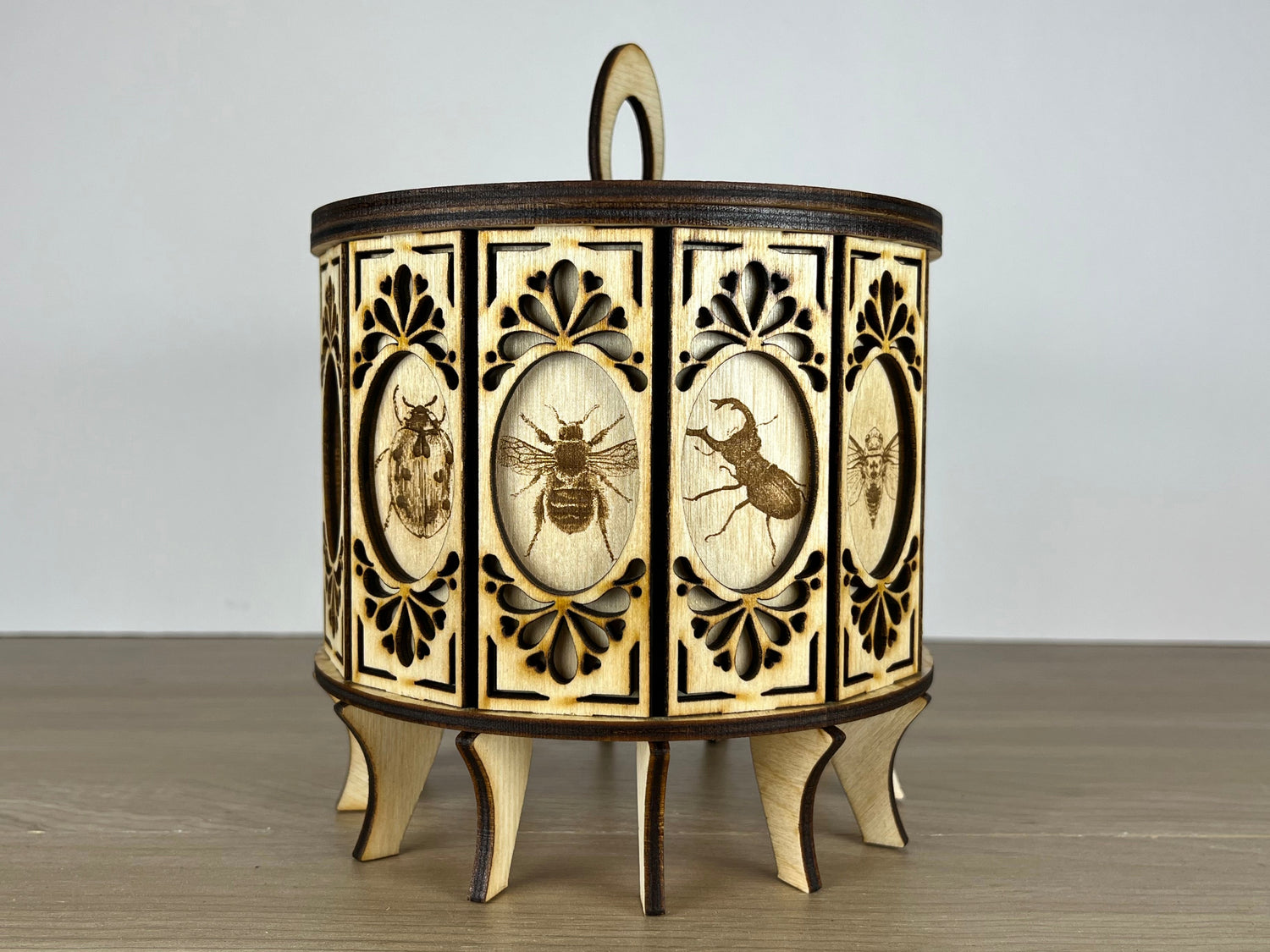 12 Sided Gift Box Insects