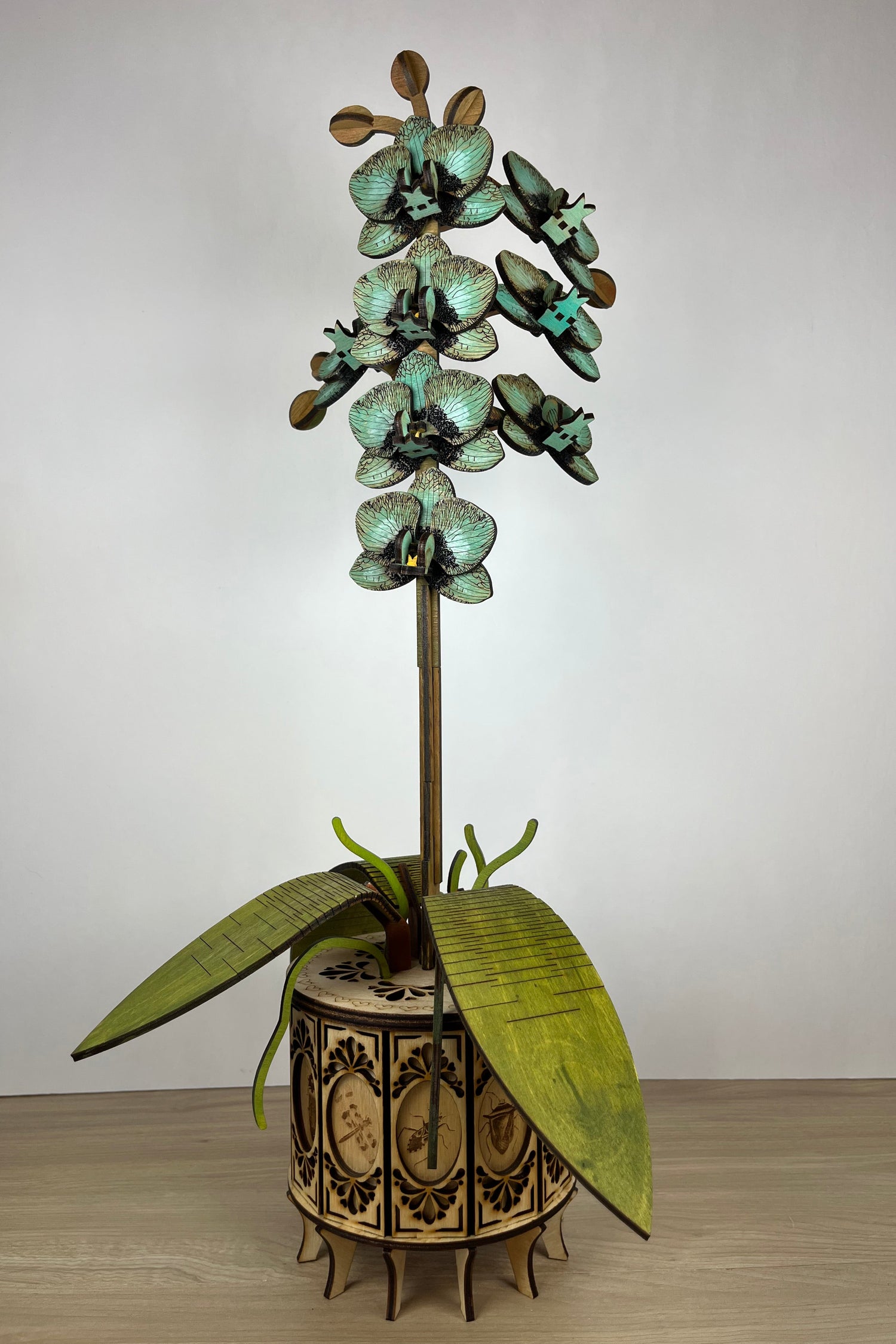 Orchid Serene Blossom