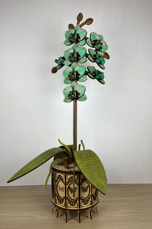 Orchid Green Front View