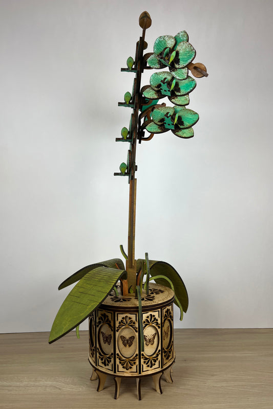 Orchid Green Side View 1
