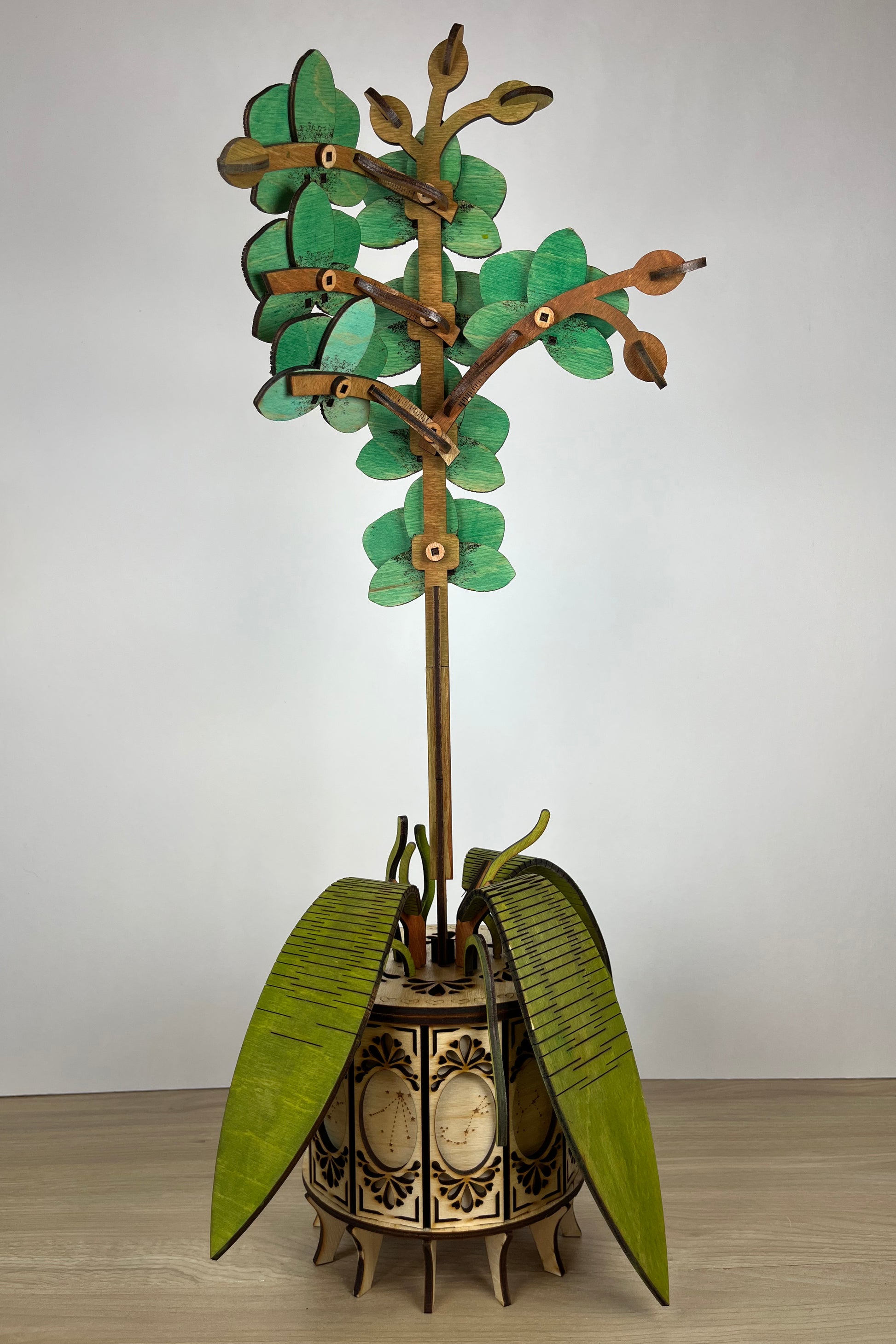 Orchid Green Tan Back View