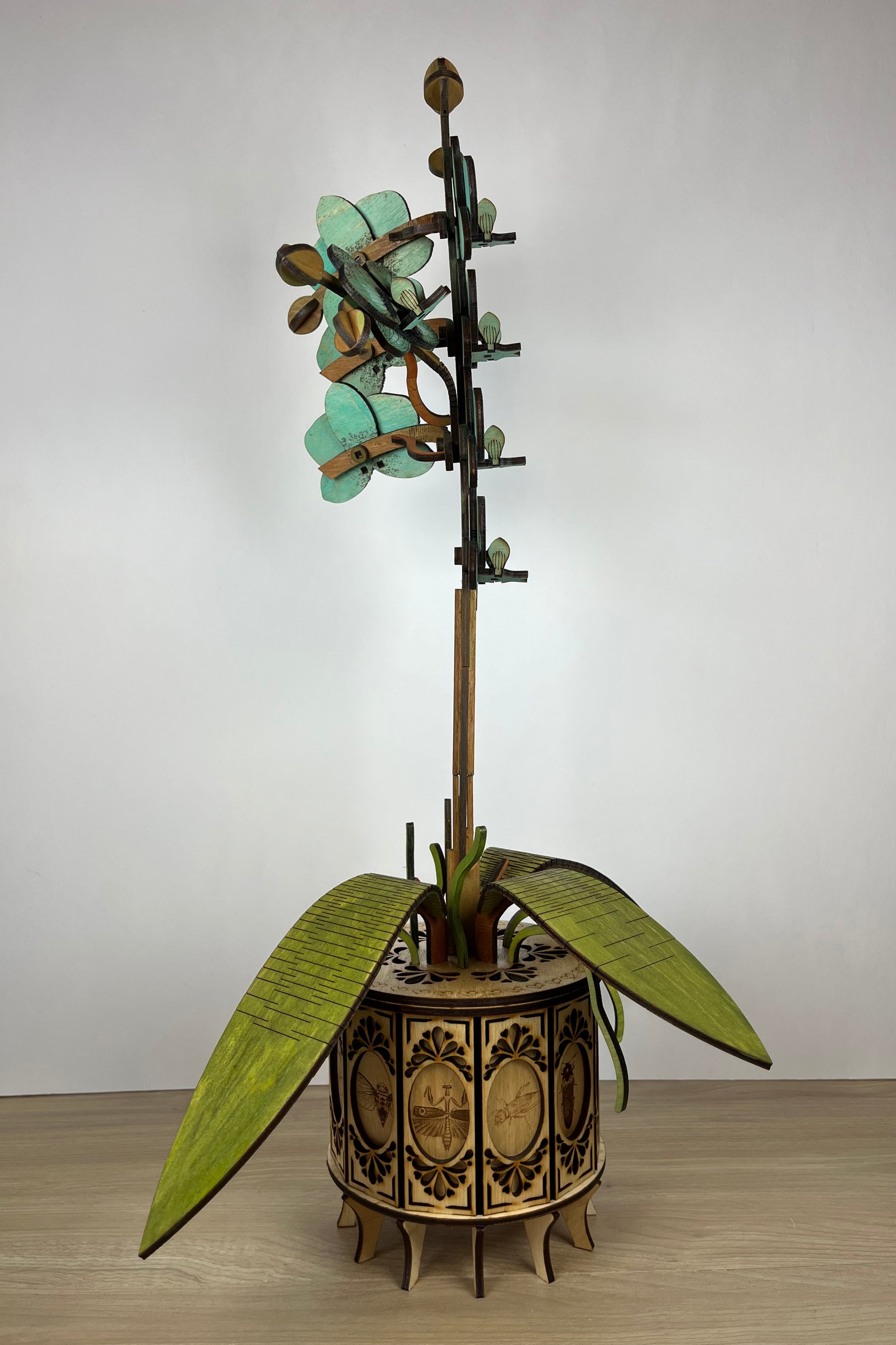 Orchid Green White Side View 2