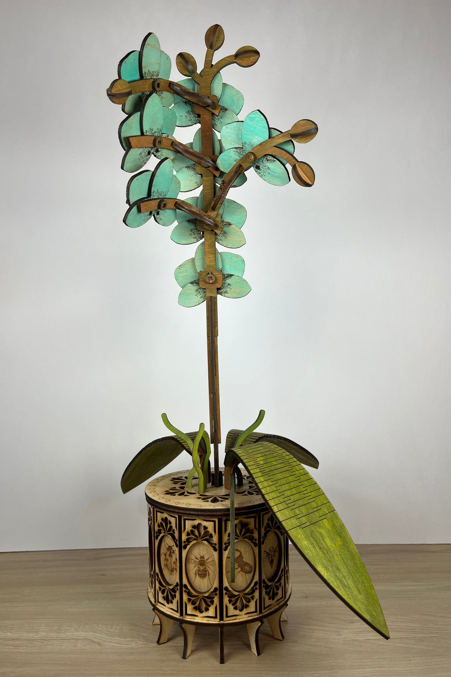 Orchid Green White Back View