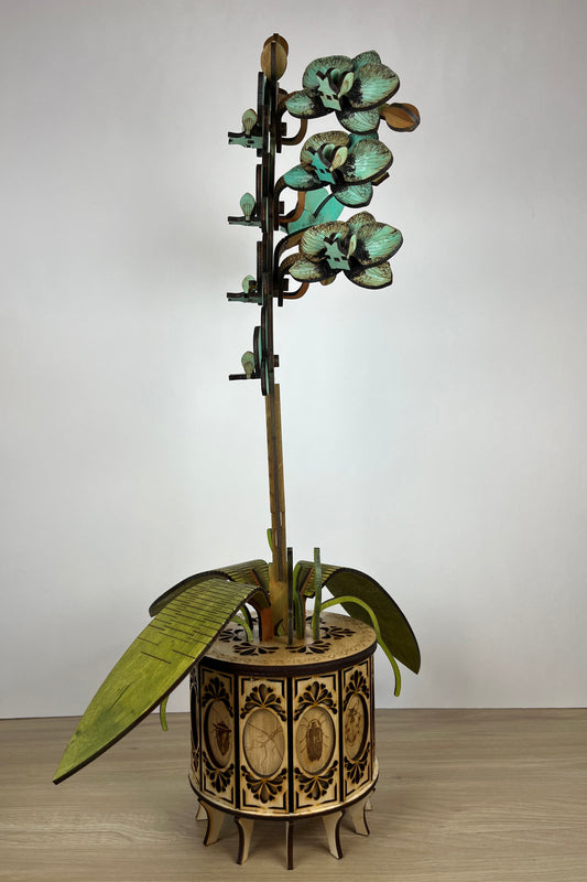 Orchid Green White Side View 1