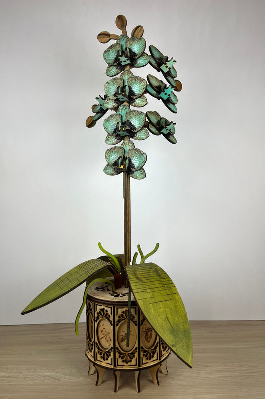 Orchid Green White Front View