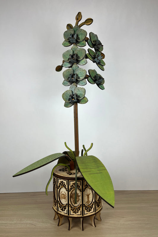 Orchid Modern Grey Front View