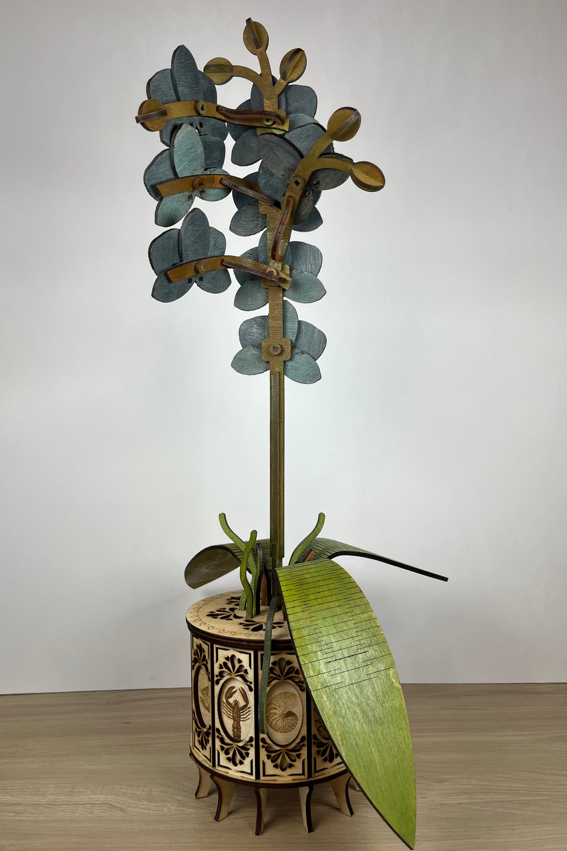 Orchid Modern Grey Back View