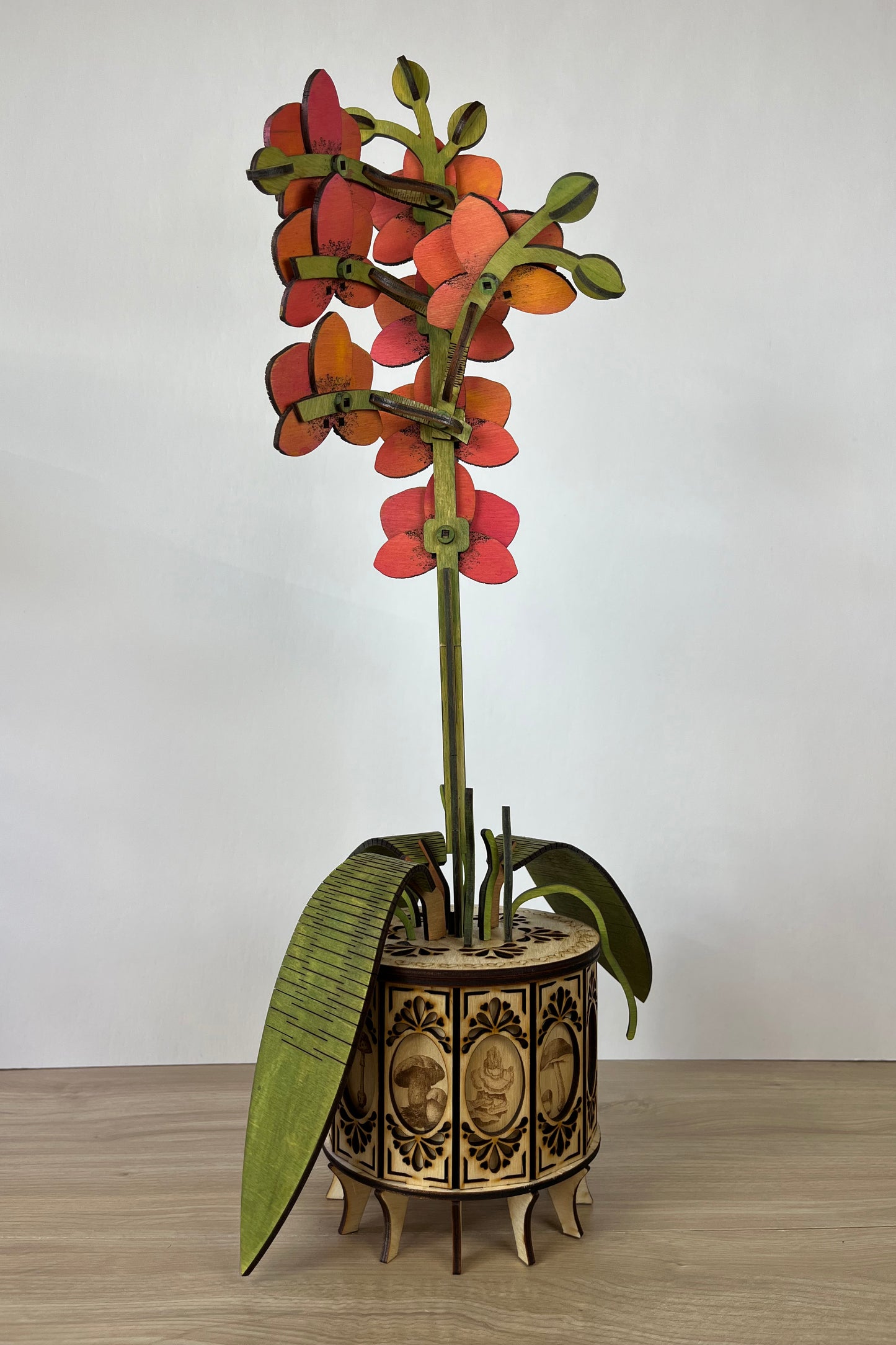 Orchid Orange Back View