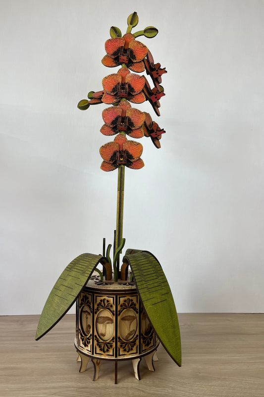 Orchid Orange Front View