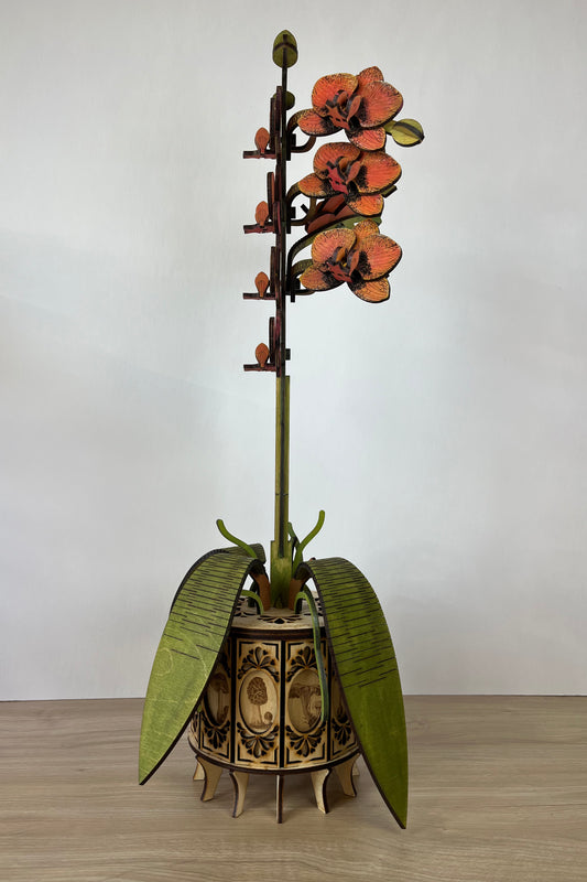 Orchid Orange Side View 1