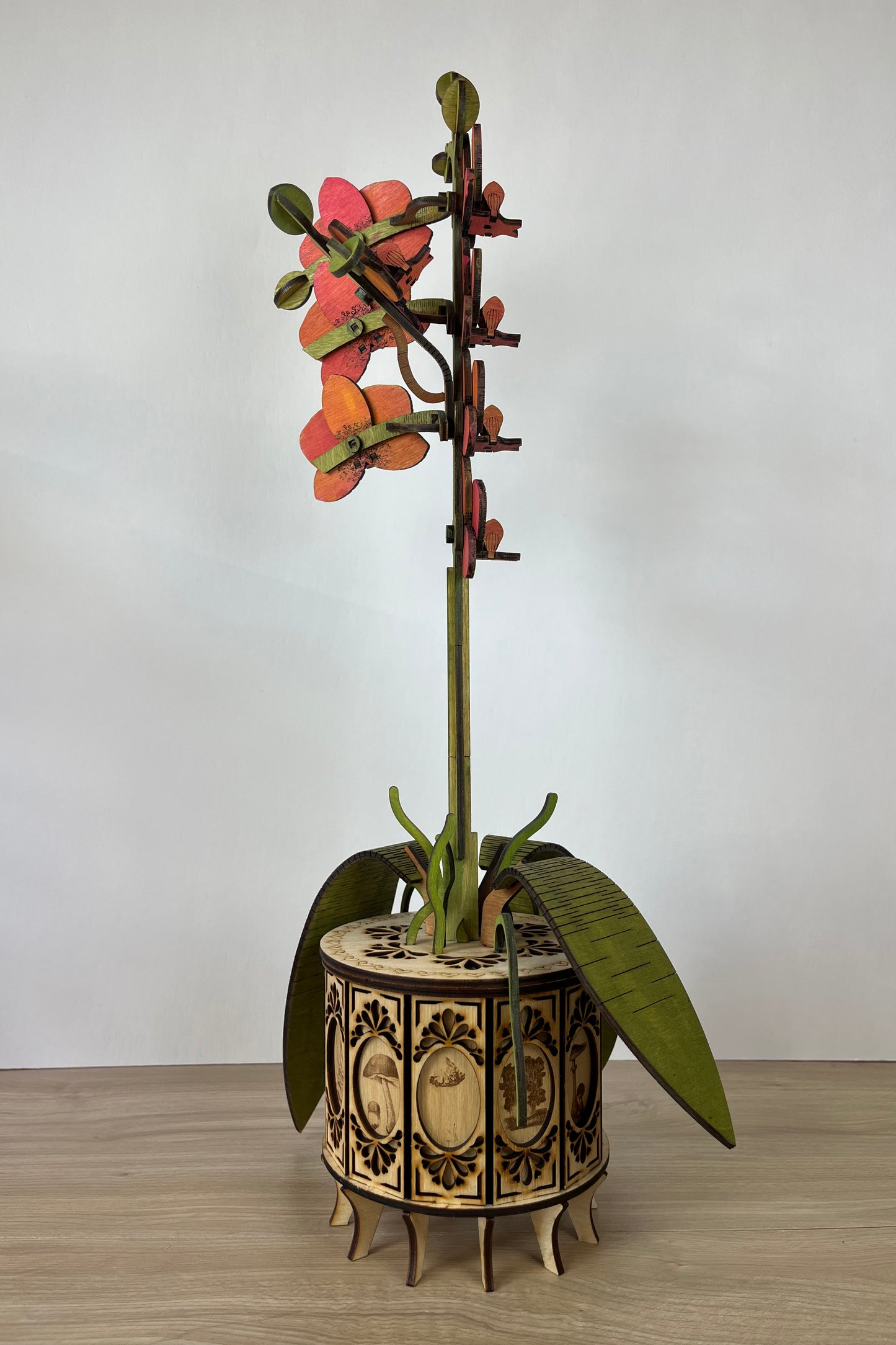 Orchid Orange Side View 2