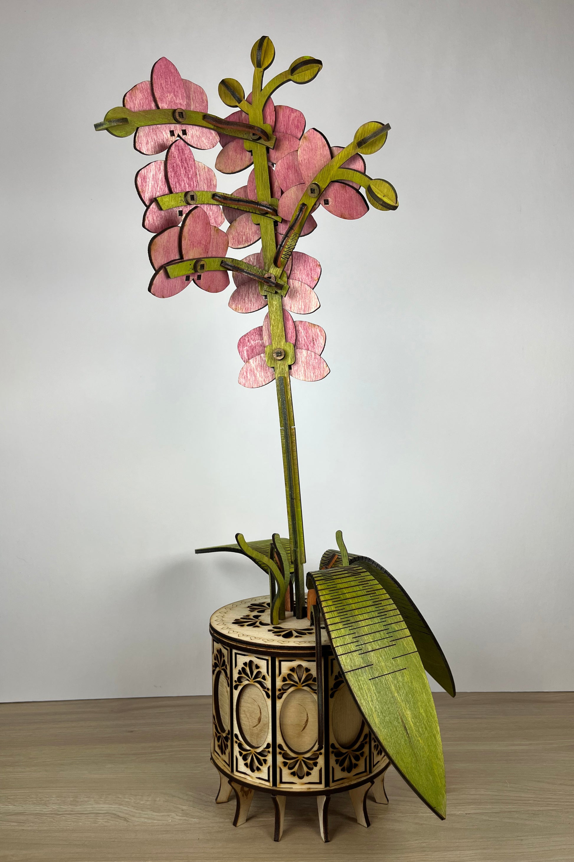 Orchid Pink Back View