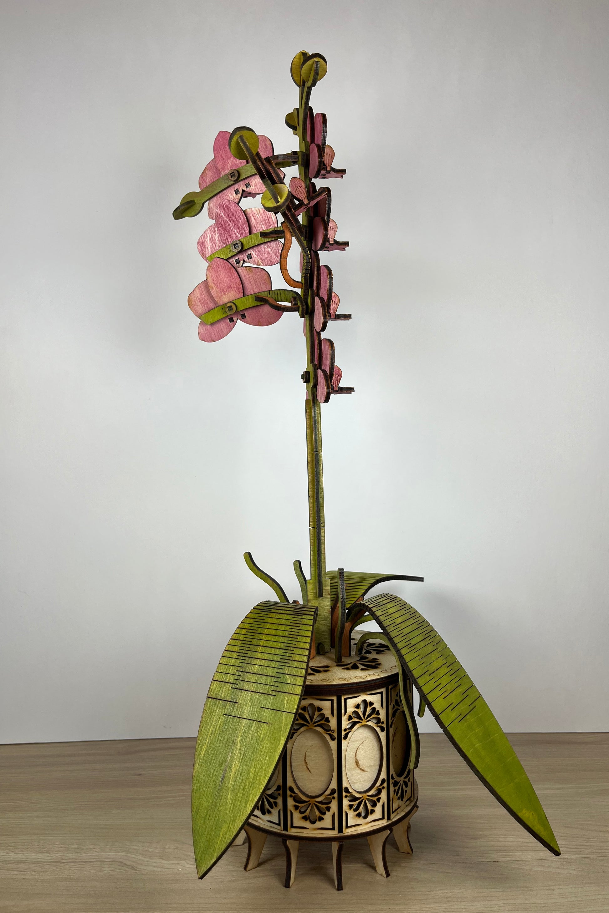 Orchid Pink Side View 2