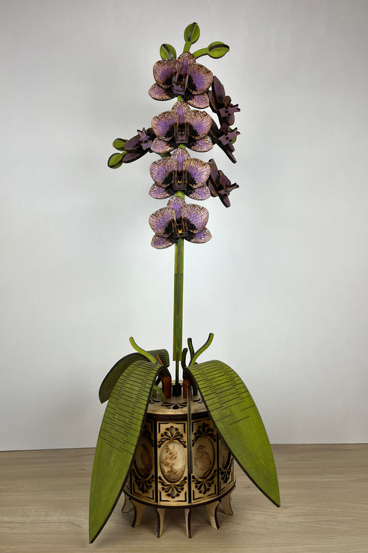 Orchid Purple Front View
