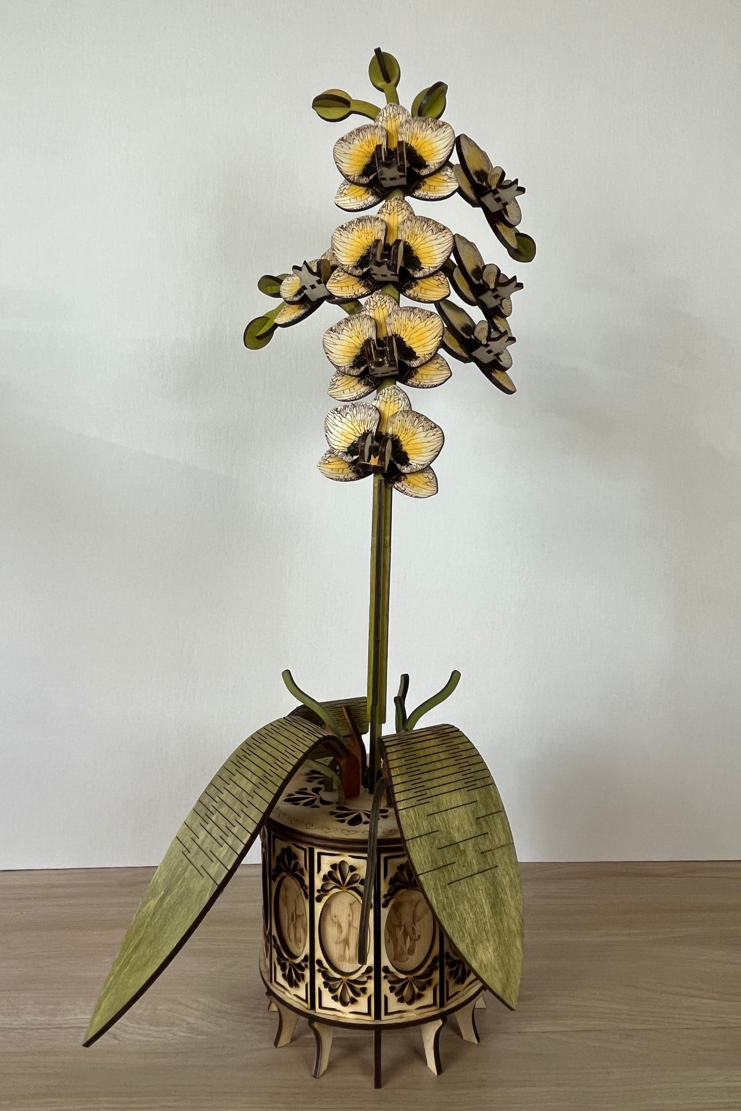 Orchid White Front View