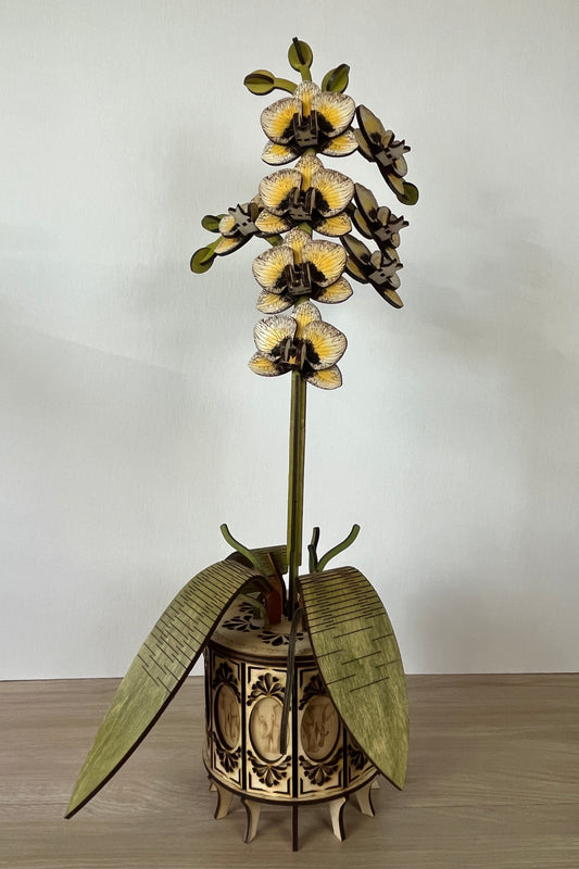 Orchid White Front View