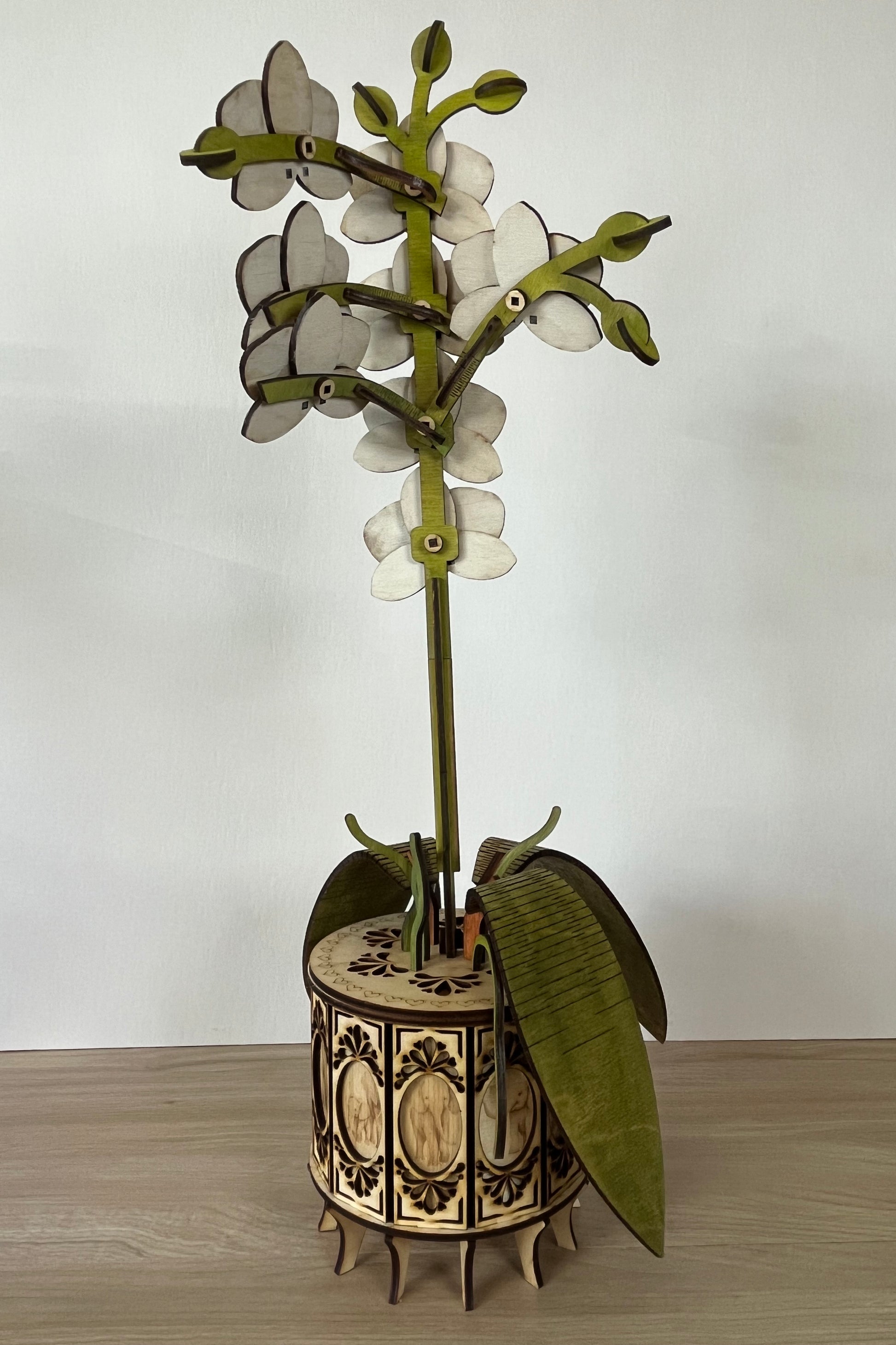 Orchid White Back View