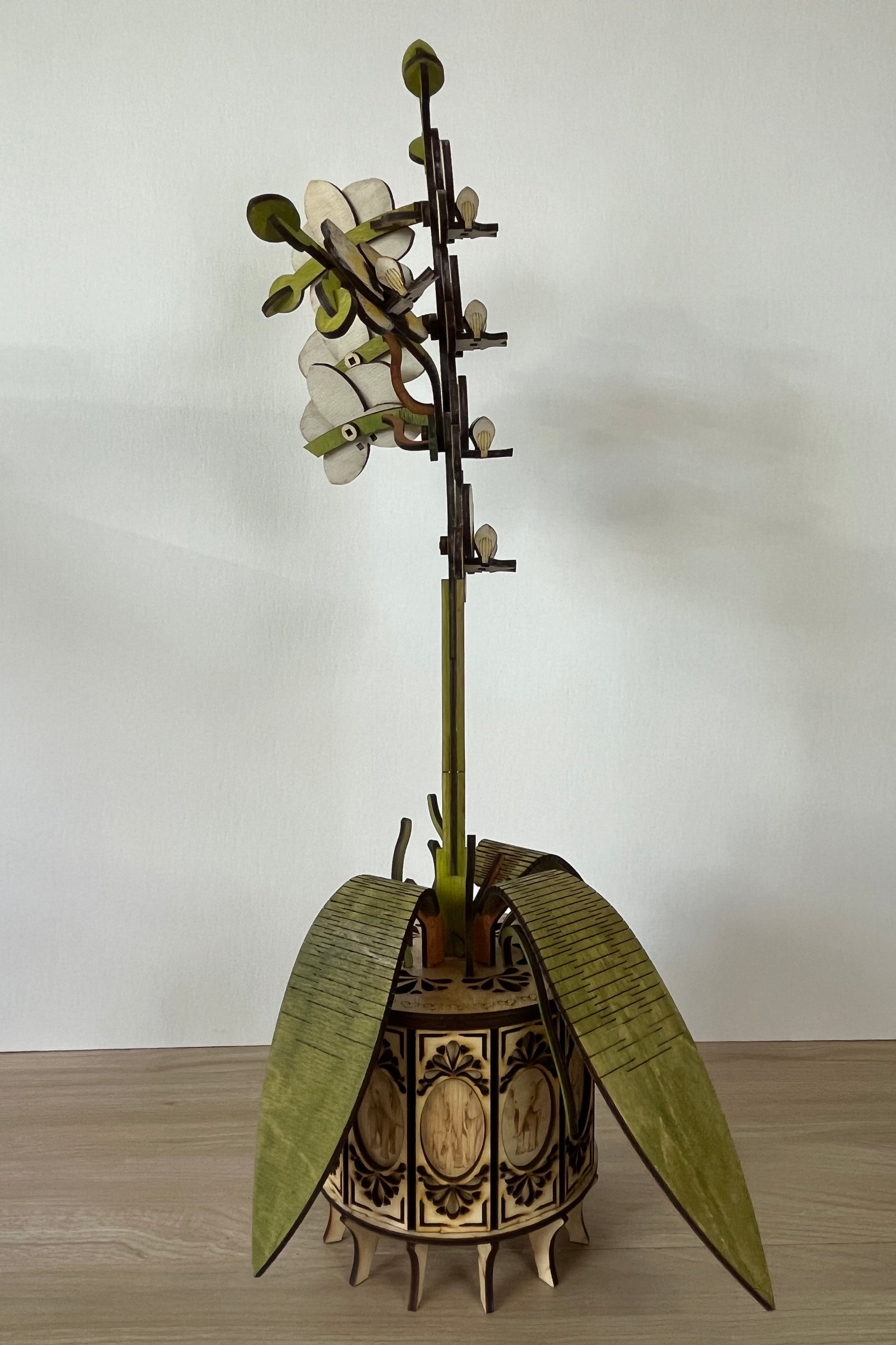 Orchid White Side View 2