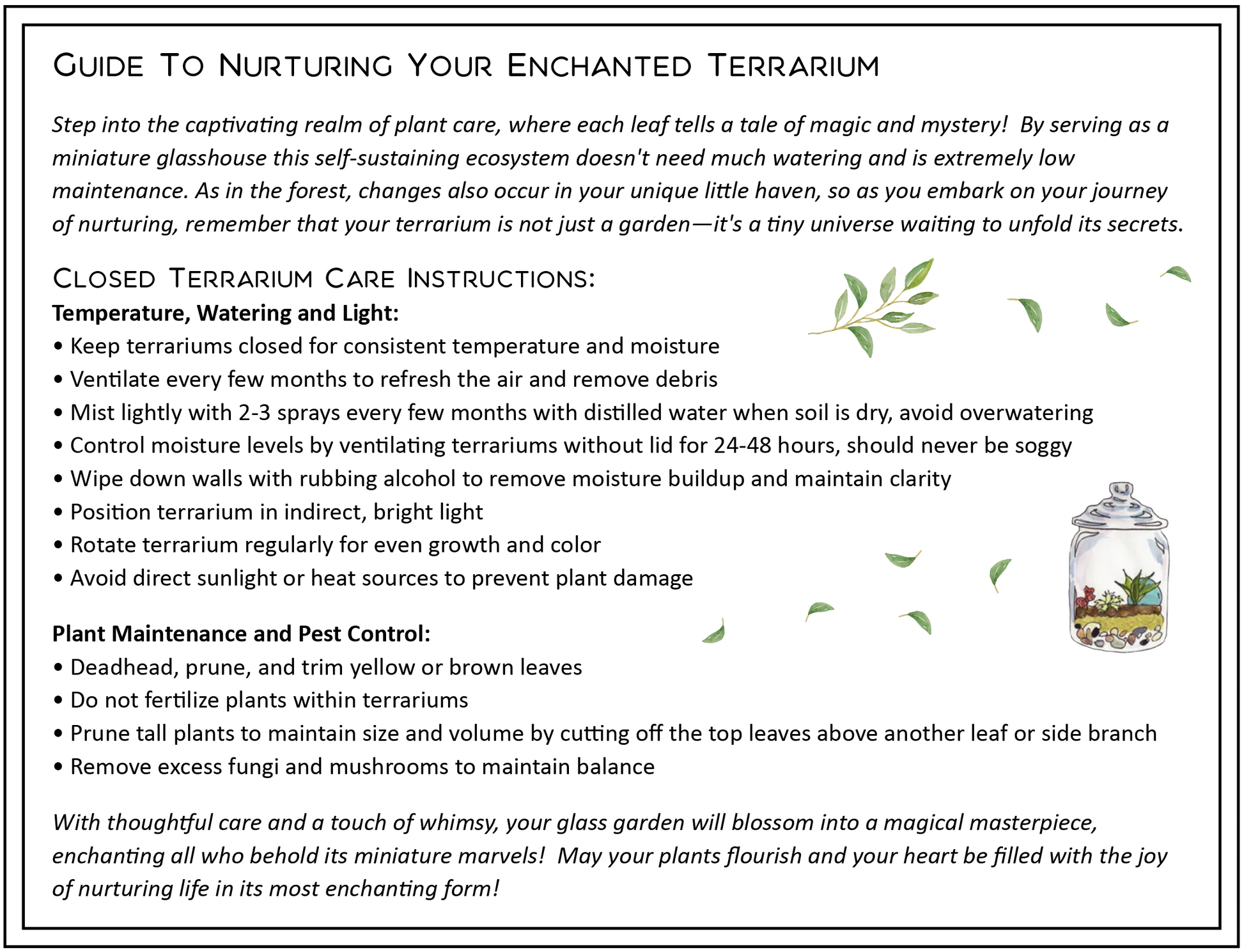 terrarium plant care instructions Terrariums – Tales of Tides and Takumi