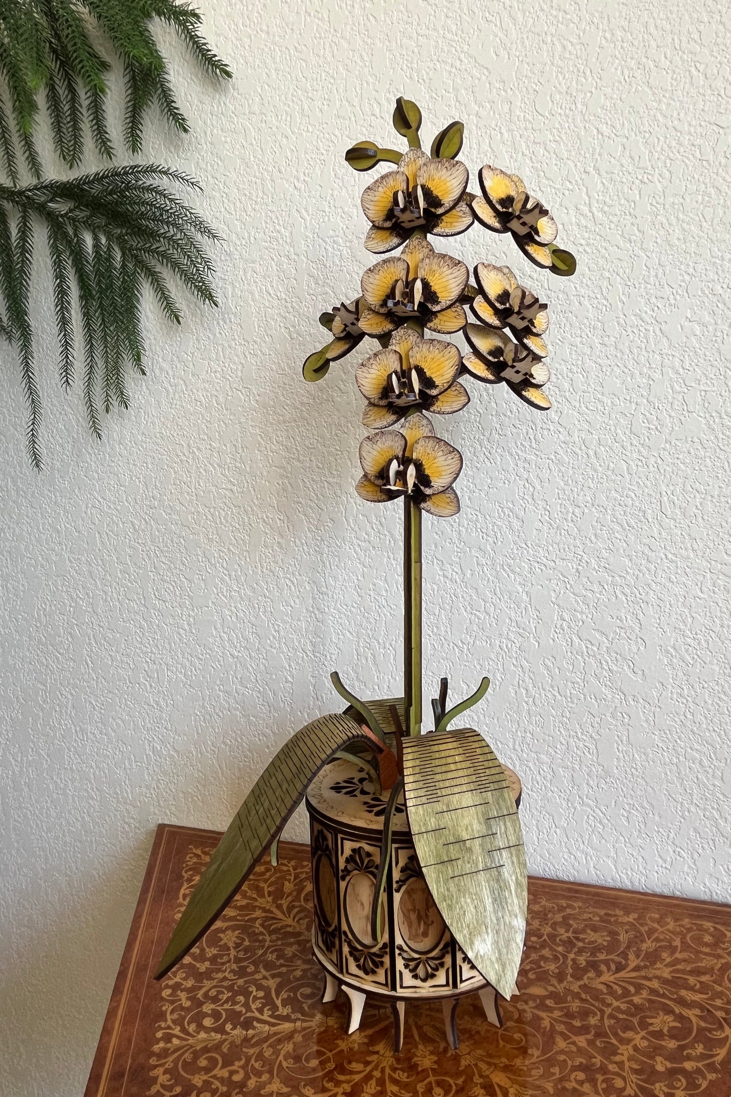 White Orchid Home Setting
