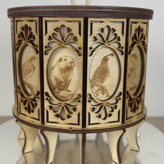 12 Sided Gift Box Wildlife Video