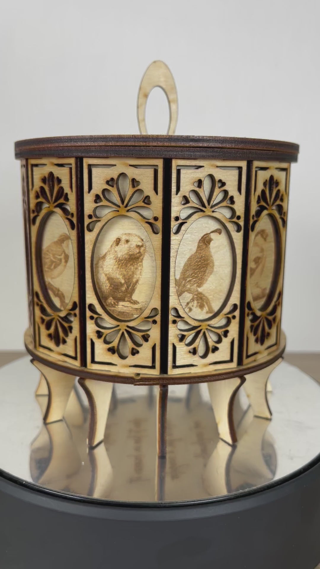 12 Sided Gift Box Wildlife Video